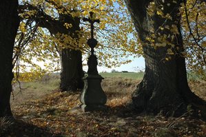 DSC_1352.JPG
