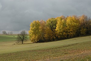 DSC_3844.JPG